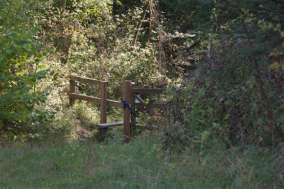 Brockham Quarry