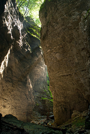 Pokljuka Gorge