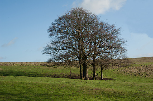 Cleeve Hill