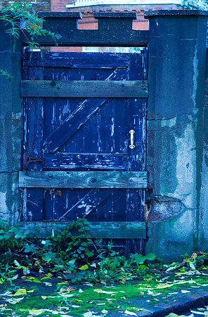 Blue door