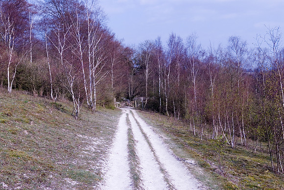 Path