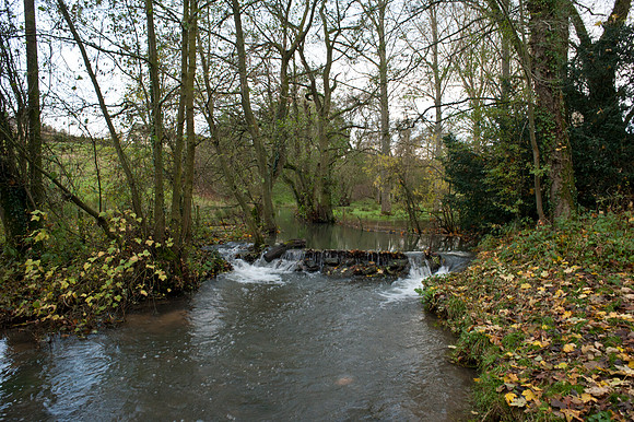 Colesbourne Park