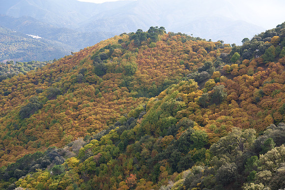 View near Gaucin