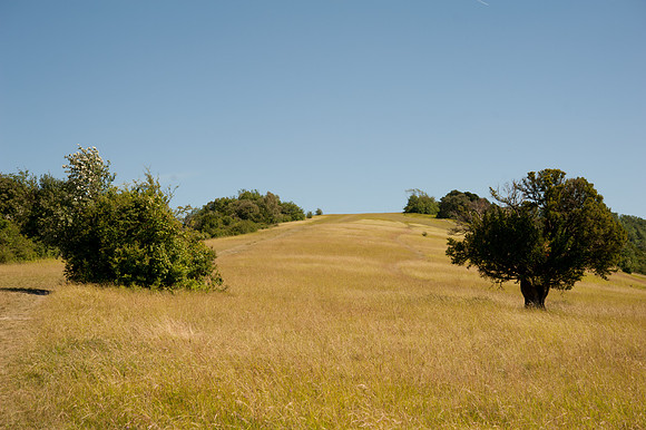 Box Hill