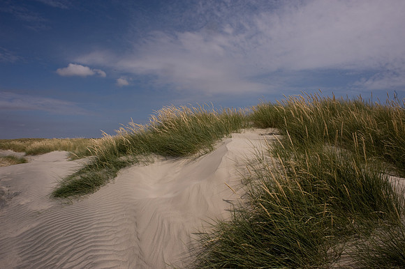 Dunes at West Wittering