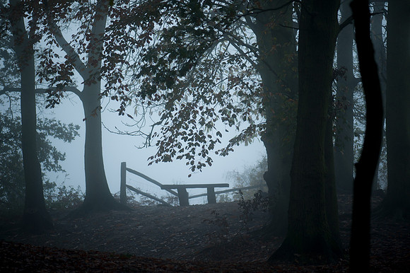 Esher Common