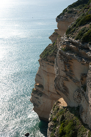 View from Torre de Taho, La Brena y Marismas de Barbate_2