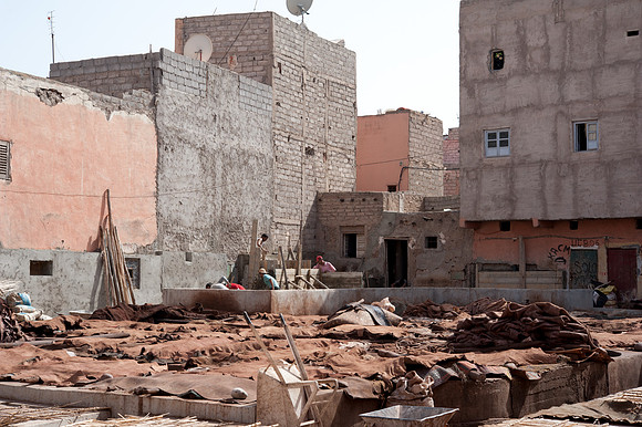 Marrakech Tanneries