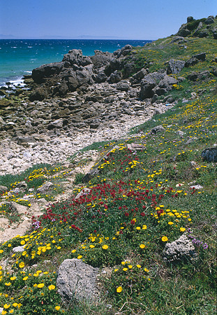 Esanada, Spain
