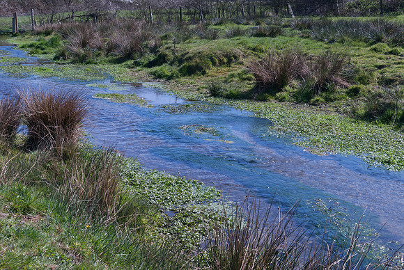 Blackheath