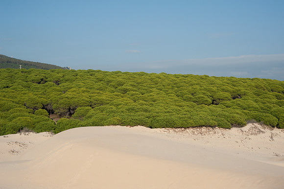 Ensenada de Bolonia