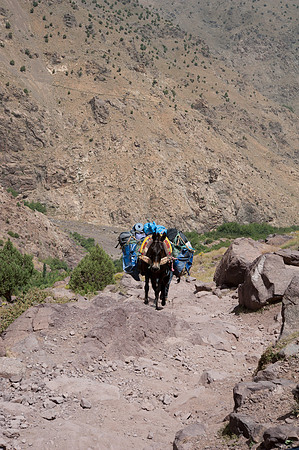 Toubkal Ascent