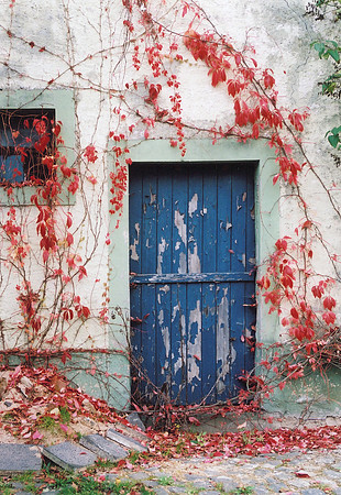 German Door