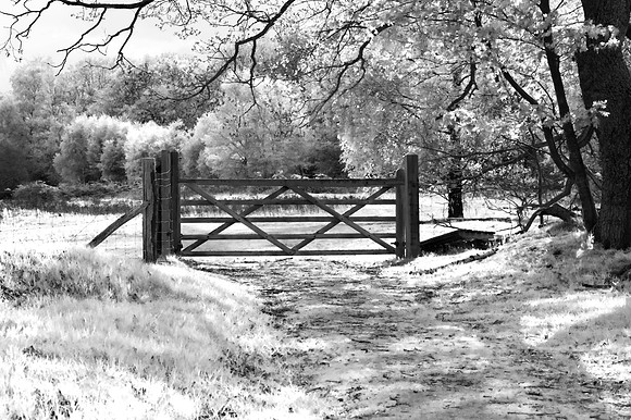 Gate
