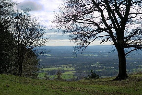 Leith Hill
