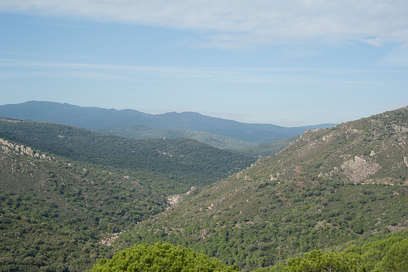 Sierra del Aljibe