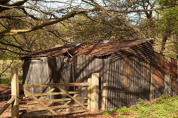 Gomshall Hut