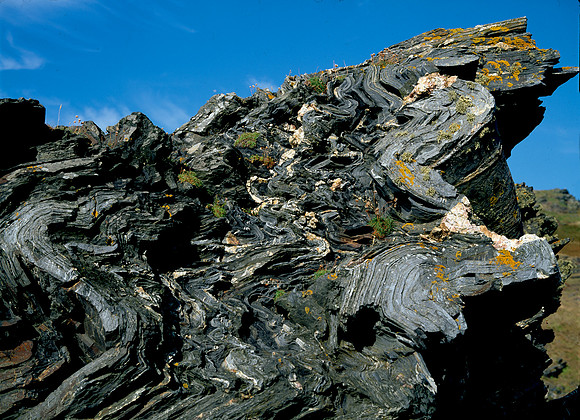 Contorted devonian morte slates at morte point, Devon