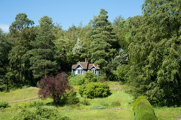 Box Hill