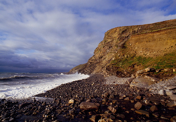 Millook Haven